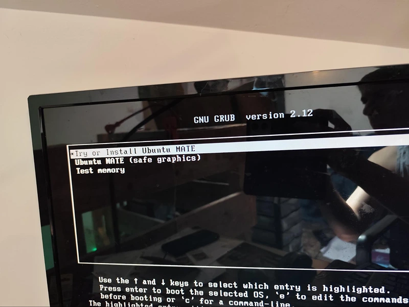 GNU GRUB, from live USB